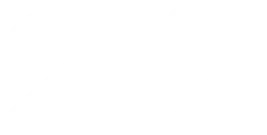 20i logo