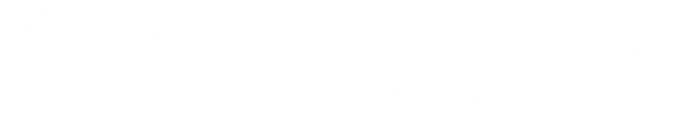 WordPress logotype standard white (2)